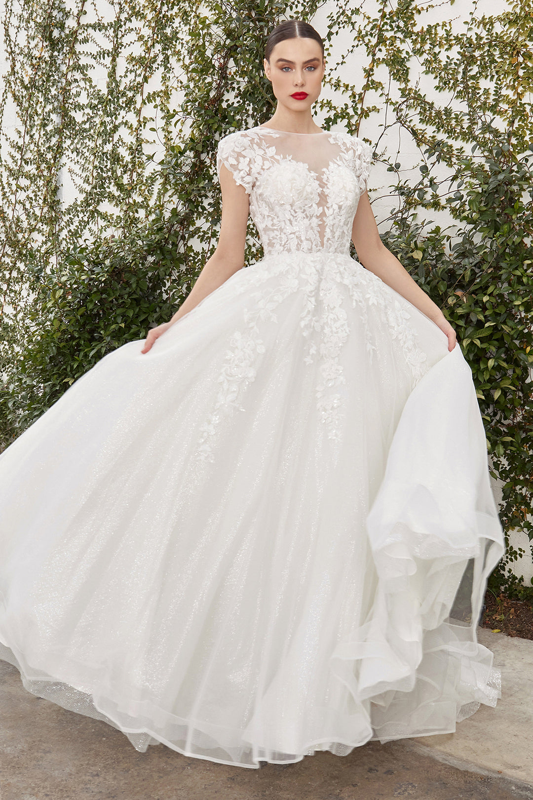 short cinderella wedding dress Short Sleeve A-line Bridal Gown by Ladivine WL035