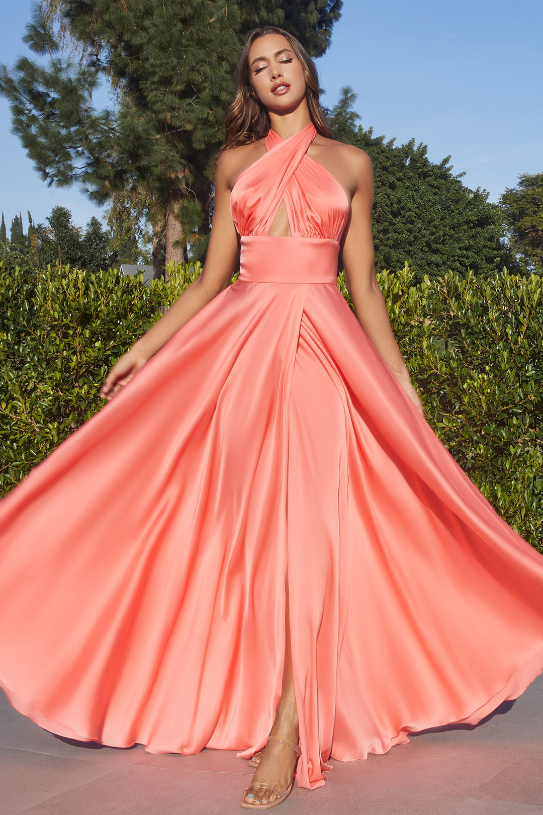 cinderella maxi dress Portrait Collection Cinderella Gown Only Little Once