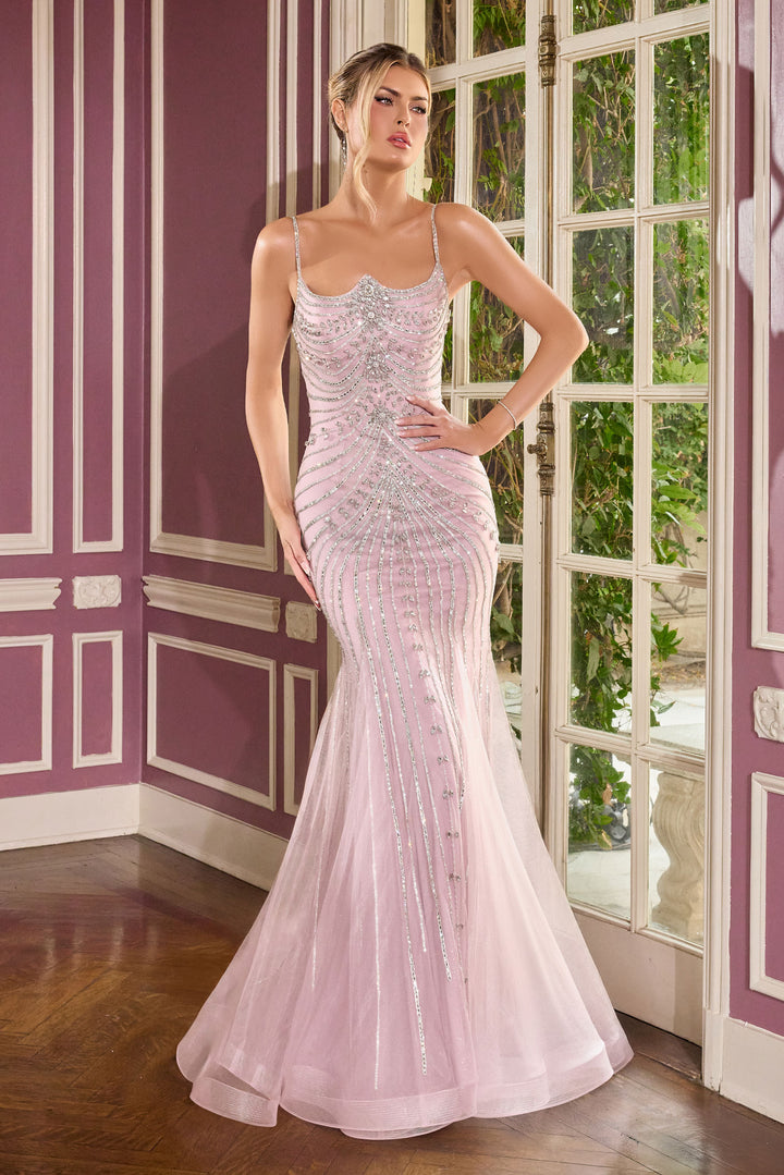 Cinderella Divine CB167 Evening Gown Fitted Silhouette