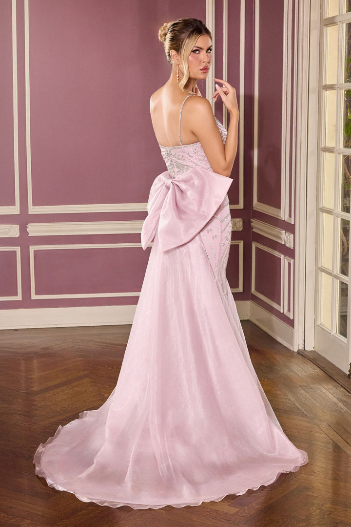 Cinderella Divine CB167 Evening Gown Fitted Silhouette